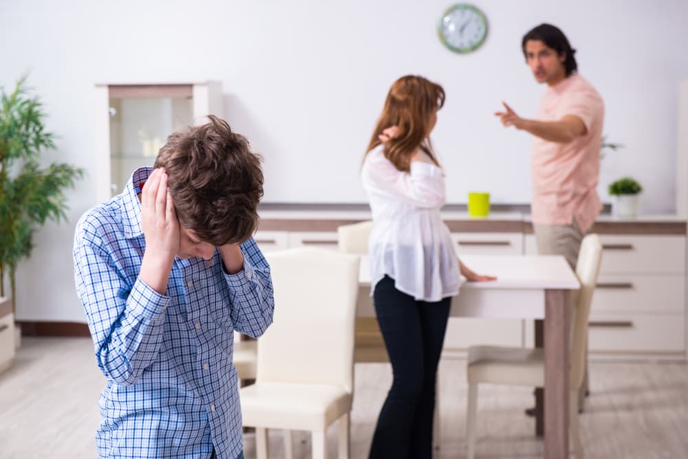 Domestic Violence husband and wife and child